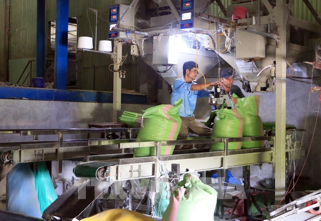 Kim ngạch xuất khẩu hàng hóa tỉnh Vĩnh Long dự kiến đạt 3,66 tỷ USD vào năm 2025