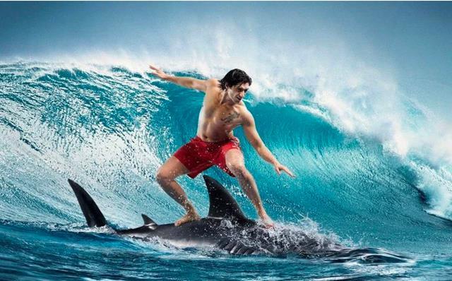 Thị trường chứng khoán Việt Nam ghi nhận nhịp phục hồi kỹ thuật