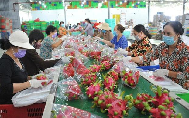 Xuất khẩu đầu năm tăng hai chữ số