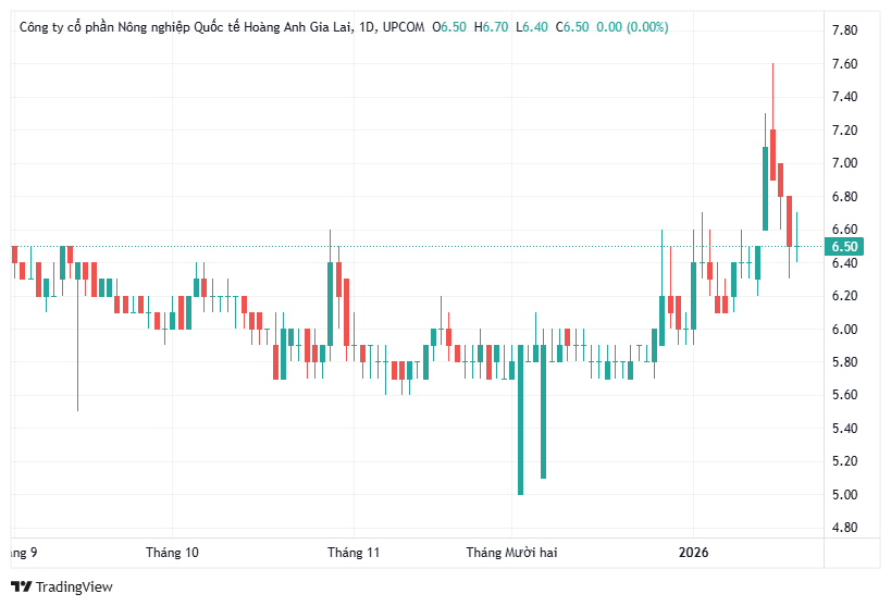 Hoàng Anh Gia Lai hoàn tất thoái toàn bộ 8,24% vốn tại HNG