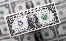 Tỷ giá USD hôm nay 23/1: Tỷ giá trung tâm đi ngang