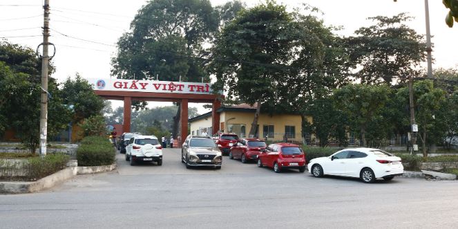 Giấy Việt Trì tạm ứng cổ tức tiền mặt 3.000 đồng/cp