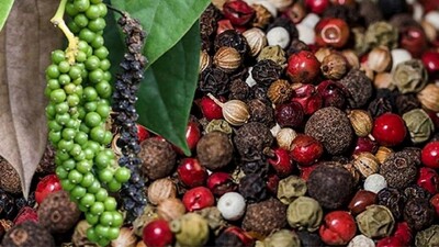 Giá tiêu hôm nay 27-1: Thị trường đi ngang, cao nhất 150.000 đồng/kg