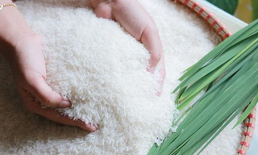 Giá lúa gạo hôm nay 28.1: Lúa Đông Xuân nhộn nhịp giao dịch