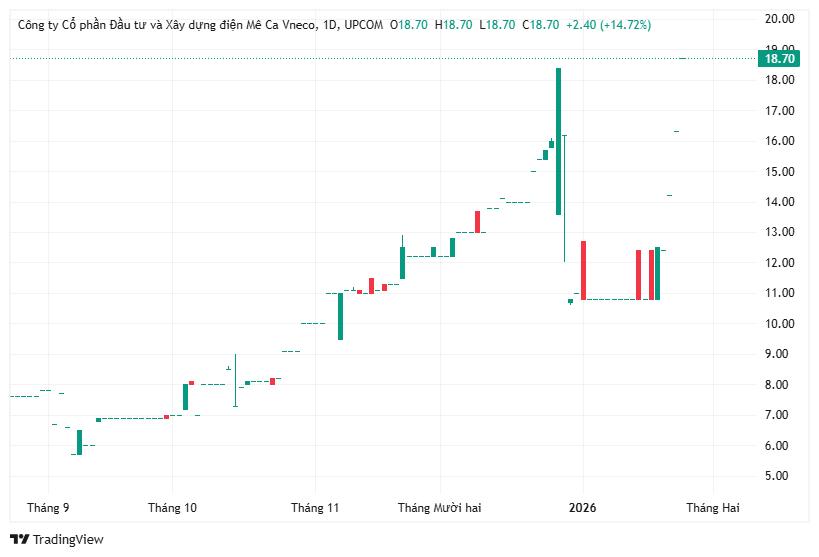 Lãnh đạo VinaCapital chi hàng trăm tỷ, cổ phiếu VES bứt phá 75%