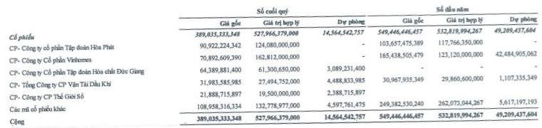 Nhà Đà Nẵng lãi đậm nhờ ôm cổ phiếu VHM và HPG