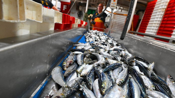 EU khóa hồ sơ giấy, thủy sản nhập khẩu bước vào luật chơi dữ liệu