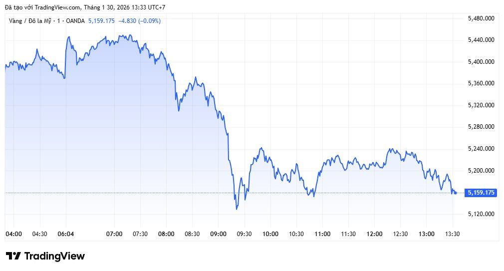 Quỹ vàng lớn nhất thế giới chốt lời khi giá vàng lên vùng kỷ lục - Ảnh 2