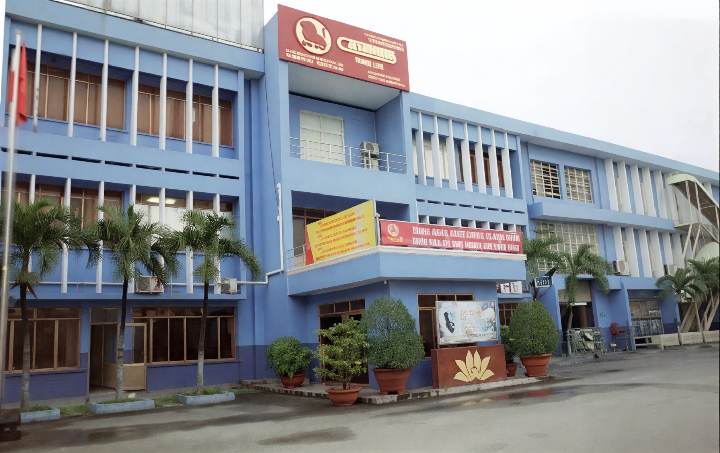 Thị trường khó khăn, Casumina gánh thêm “cú sốc” chi phí