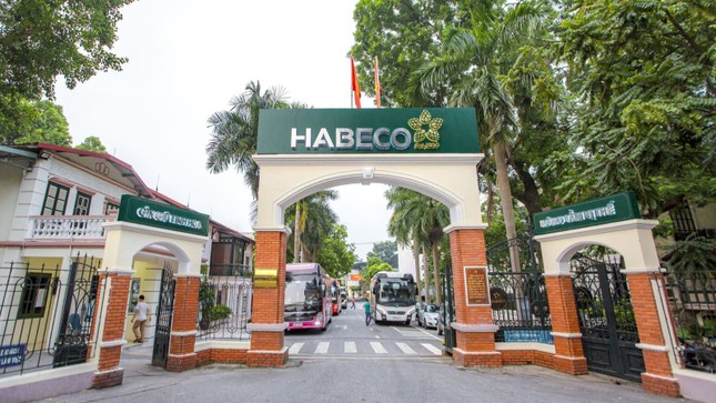 Lãi quý 4 giảm sâu, Habeco vẫn vượt xa kế hoạch năm