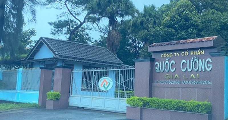 Quốc Cường Gia Lai còn bao nhiêu nợ trong thương vụ với Sunny Island?