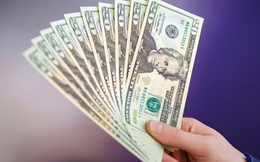 Tỷ giá USD hôm nay 5/2: Tỷ giá trung tâm giảm 1 đồng