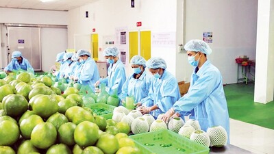 Xuất khẩu nông, lâm, thủy sản khởi sắc ngay từ đầu năm, đạt gần 6,51 tỷ USD