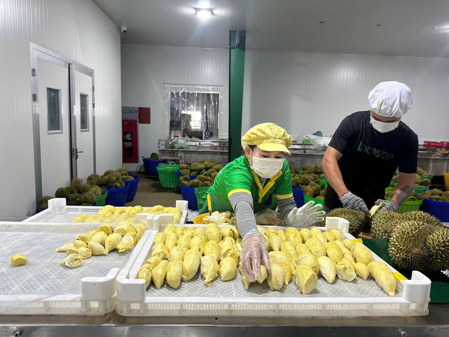 Xuất khẩu nông, lâm, thủy sản khởi sắc ngay từ đầu năm, đạt gần 6,51 tỷ USD