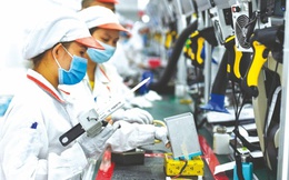 Cả nước có gần 24,2 nghìn doanh nghiệp thành lập mới trong tháng 1