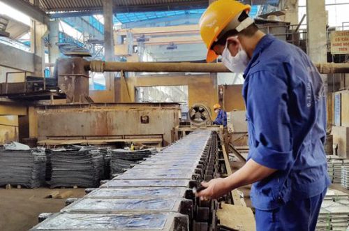 Cổ đông TMG sắp nhận cổ tức tiền mặt 1.500 đồng/cổ phiếu