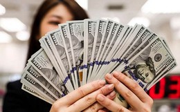 Tỷ giá USD hôm nay 12/2: Tỷ giá trung tâm đi ngang