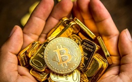 Giá Bitcoin hôm nay 12/2: Bitcoin dần giống tài sản tăng trưởng