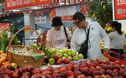 Cung - cầu hàng hóa dần trở lại bình thường