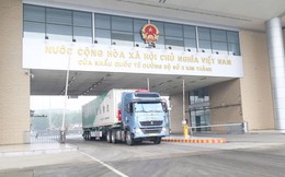 Rộn ràng xuất khẩu đầu Xuân