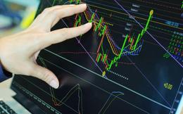 SSI Research: Chứng khoán 2026 sẽ vận động theo hướng tích lũy đi lên