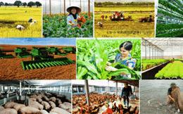 Nông nghiệp dẫn đầu 15 ngành nghề về mức lương trần dành cho lãnh đạo cấp cao