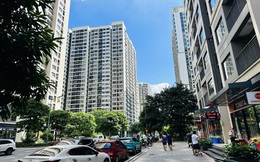 Nhu cầu ở thực tạo chu kỳ tăng trưởng bền vững cho thị trường căn hộ