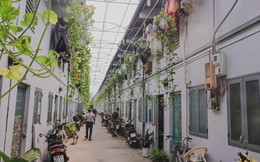 Lượt tìm kiếm phòng trọ tại TP.HCM tăng vọt 130%