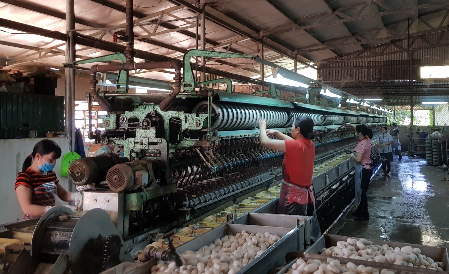 Chậm công bố thông tin, Tơ tằm Á Châu bị phạt gần 100 triệu đồng