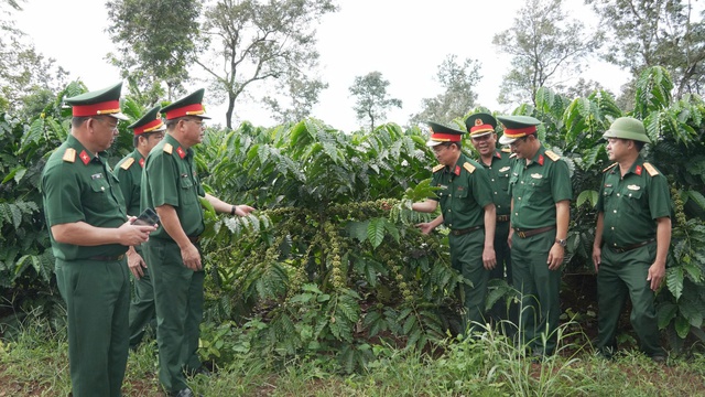 Công ty cà phê 15 nỗ lực kiến tạo nông nghiệp xanh- Ảnh 1.