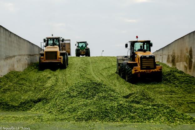 Bản lĩnh Anh hùng của một tập thể Anh hùng- Ảnh 6.