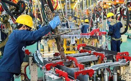 Việt Nam nằm trong Top 3 điểm đến đầu tư được các CEO khu vực châu Á - Thái Bình Dương lựa chọn