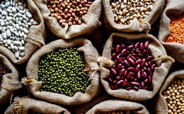 Chỉ số giá thực phẩm thế giới tháng 2/2026 tăng lên 125,3 điểm