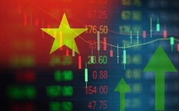 Trong tháng 2 có thêm hơn 198.000 tài khoản giao dịch mới