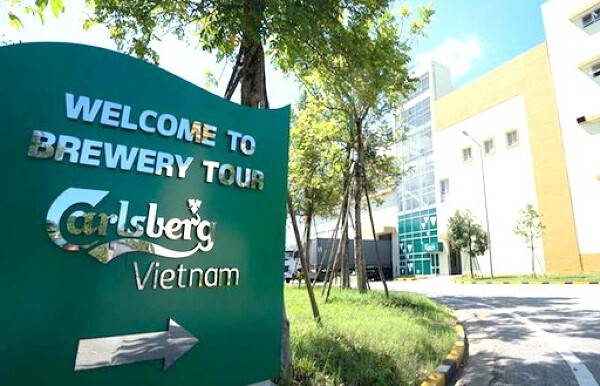 Doanh thu đứng top thị trường nhưng Carlsberg vẫn lỗ nặng tại Việt Nam