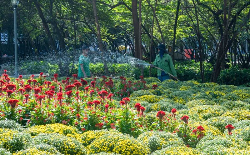 11 khu đất “vàng” trung tâm TP HCM được giữ làm công viên tạm