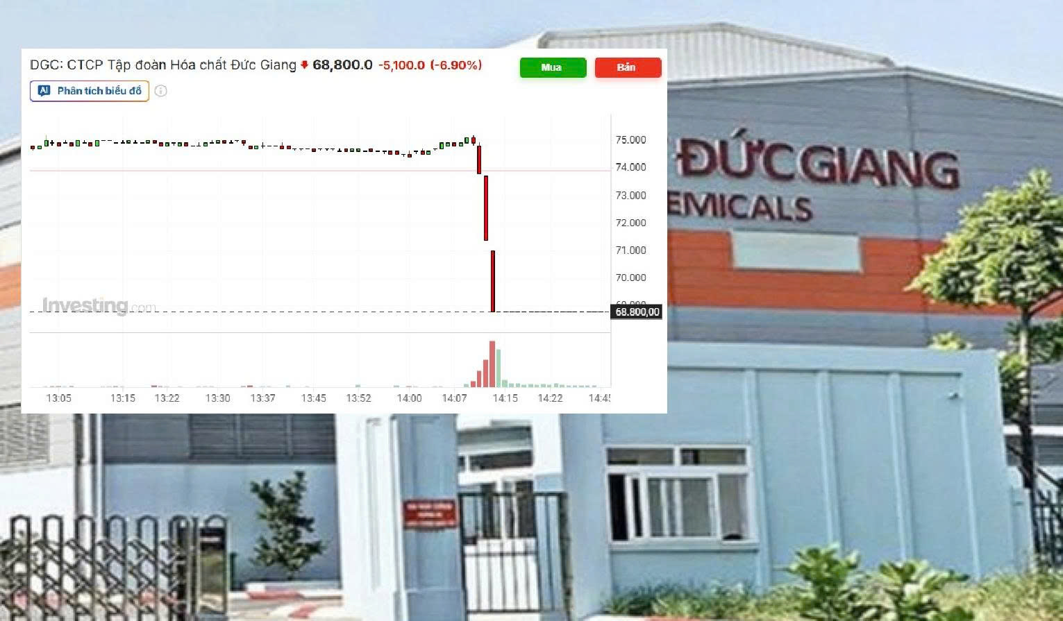 Đức Giang giảm sàn: Cú sốc pháp lý thổi bay niềm tin