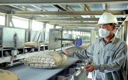 Thị trường xi măng đang bước vào làn sóng tăng giá mới
