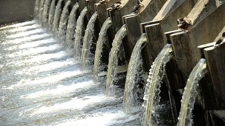 Vốn đang chảy vào đâu trong năm 2026?