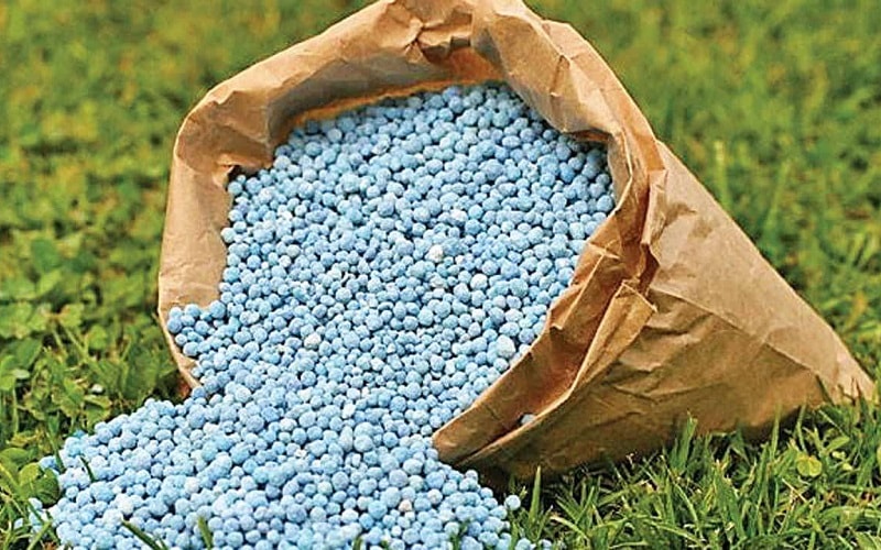 Dầu tăng mạnh, lợi nhuận doanh nghiệp phân đạm có thể bật tăng