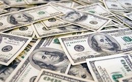 Tỷ giá USD hôm nay 20/3: Tỷ giá trung tâm tăng 13 đồng