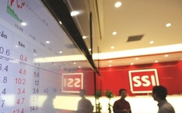 Tỷ trọng nhà đầu tư tổ chức trên TTCK gia tăng nhanh