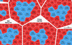 VN-Index “rơi tự do” 56 điểm: Thị trường chứng khoán Việt trong vòng xoáy khủng hoảng toàn cầu