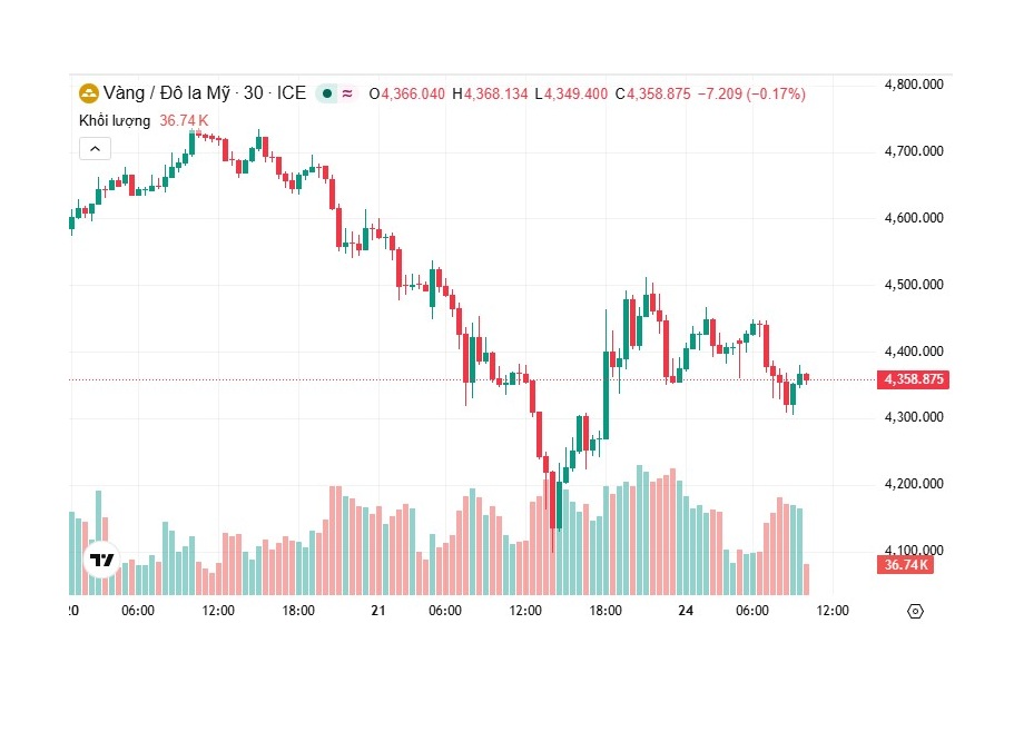 Vàng “gãy nhịp” rồi hồi phục: Một thị trường đang thiếu neo định giá