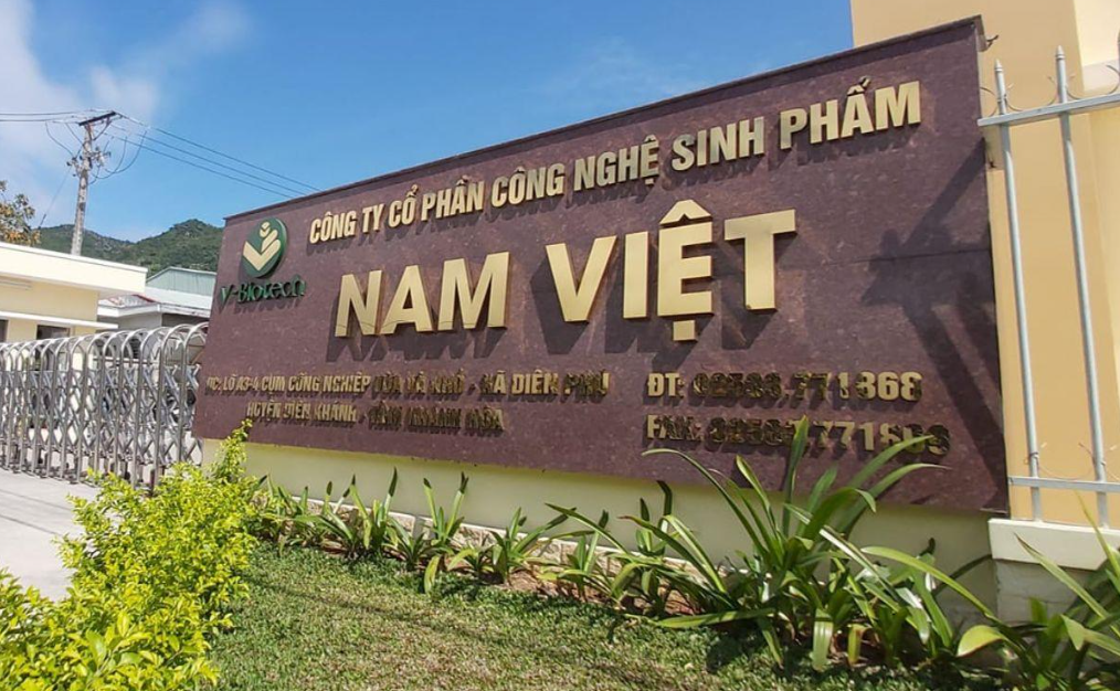 Lãnh đạo ANV “xuống tiền” mạnh giữa biến động thị trường