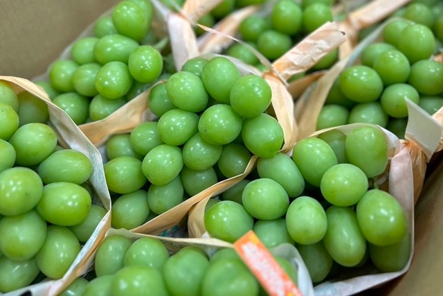 Việt Nam nằm trong nhóm nước nhập khẩu trái cây lớn nhất của Trung Quốc- Ảnh 1.