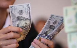 Tỷ giá USD hôm nay 25/3: Tỷ giá trung tâm giảm 5 đồng