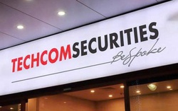 TCBS chi hơn 1.150 tỷ trả cổ tức, cổ đông lớn “hốt bạc”