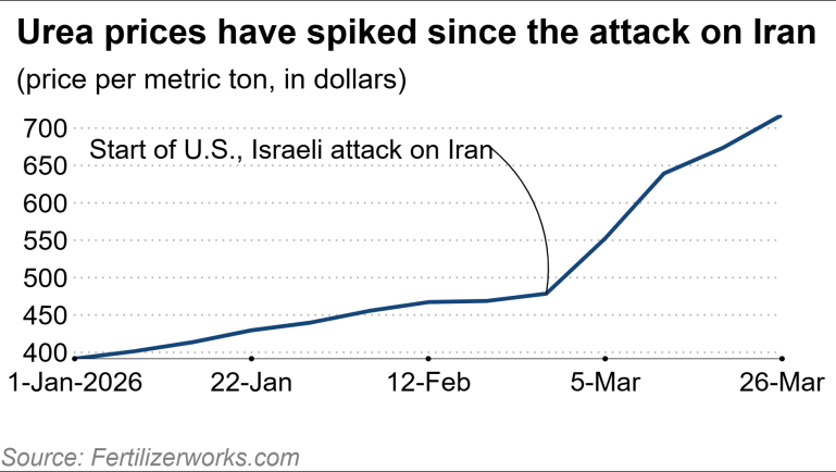 IFA: Cú sốc phân bón hiện tại nghiêm trọng hơn 2022