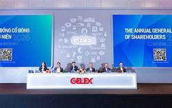 Gelex và nước cờ Eximbank: Tăng sở hữu nhưng không tham gia điều hành